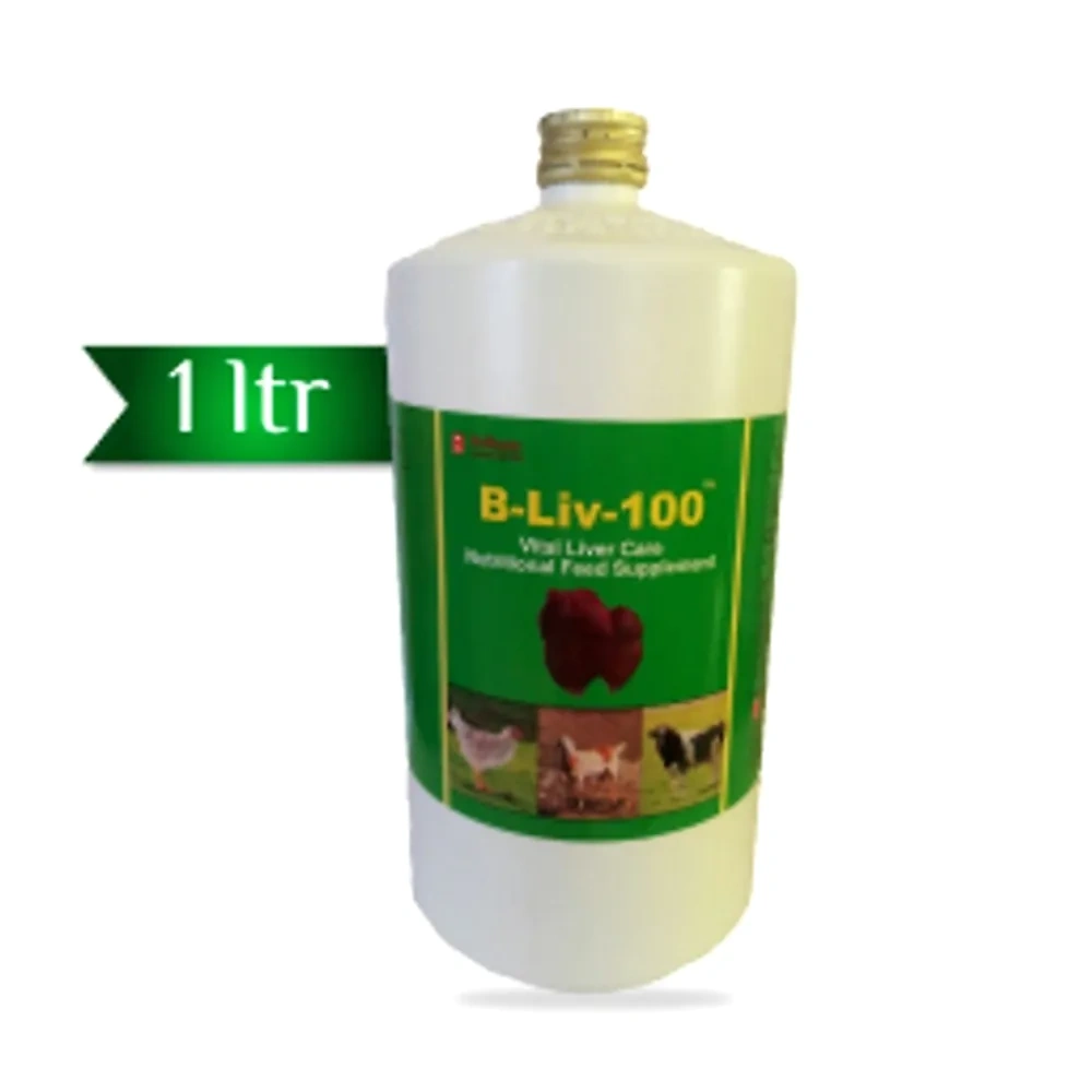 B-Liv-100 - Image 2