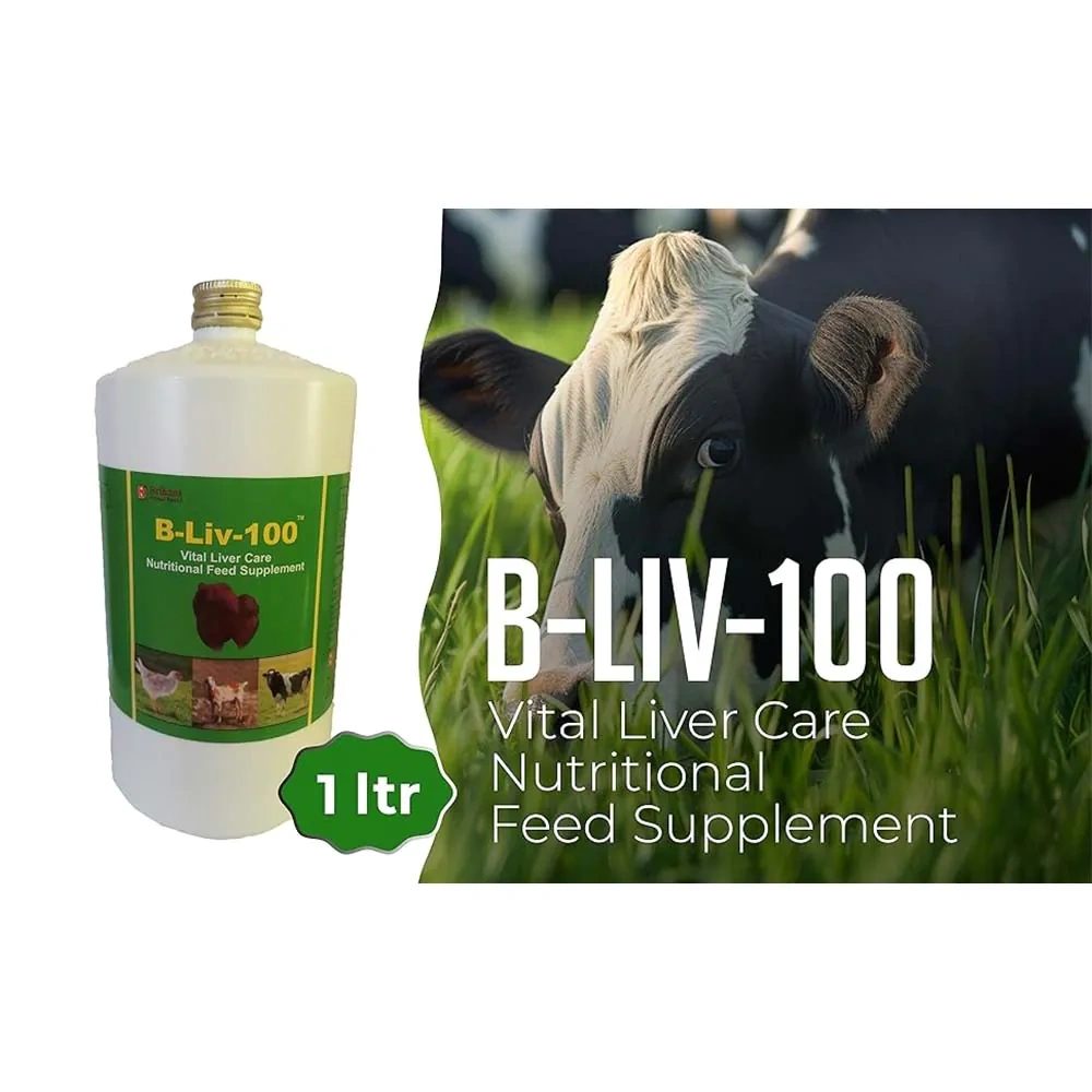B-Liv-100 - Image 6