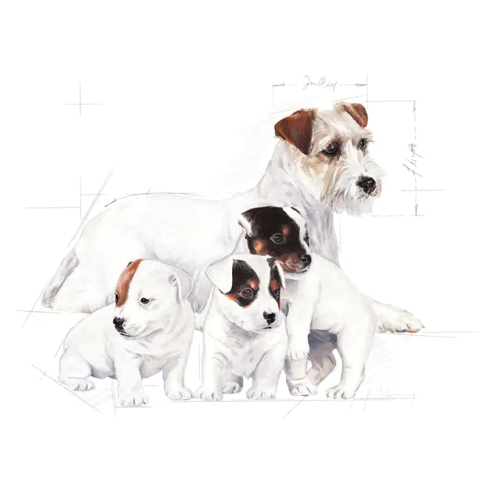 Royal Canin Babydog Milk (1st age Milk) - Image 2