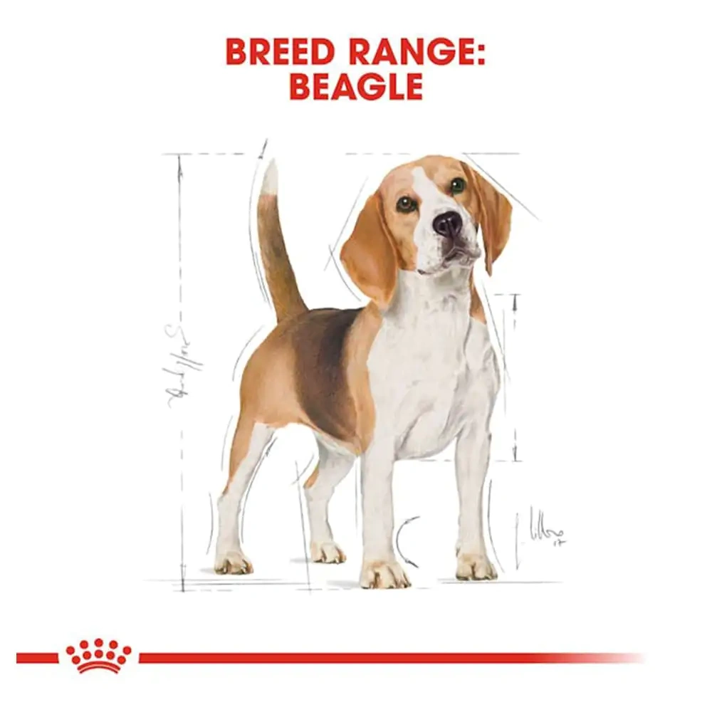 Royal Canin Beagle Adult Dog Dry Food - Image 3
