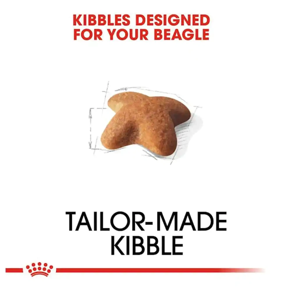 Royal Canin Beagle Adult Dog Dry Food - Image 4