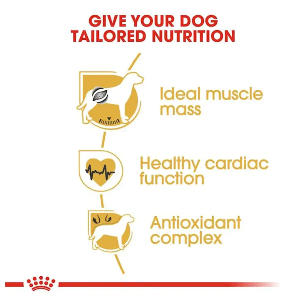 Royal Canin Boxer Adult Dry Dog Food - Image 2