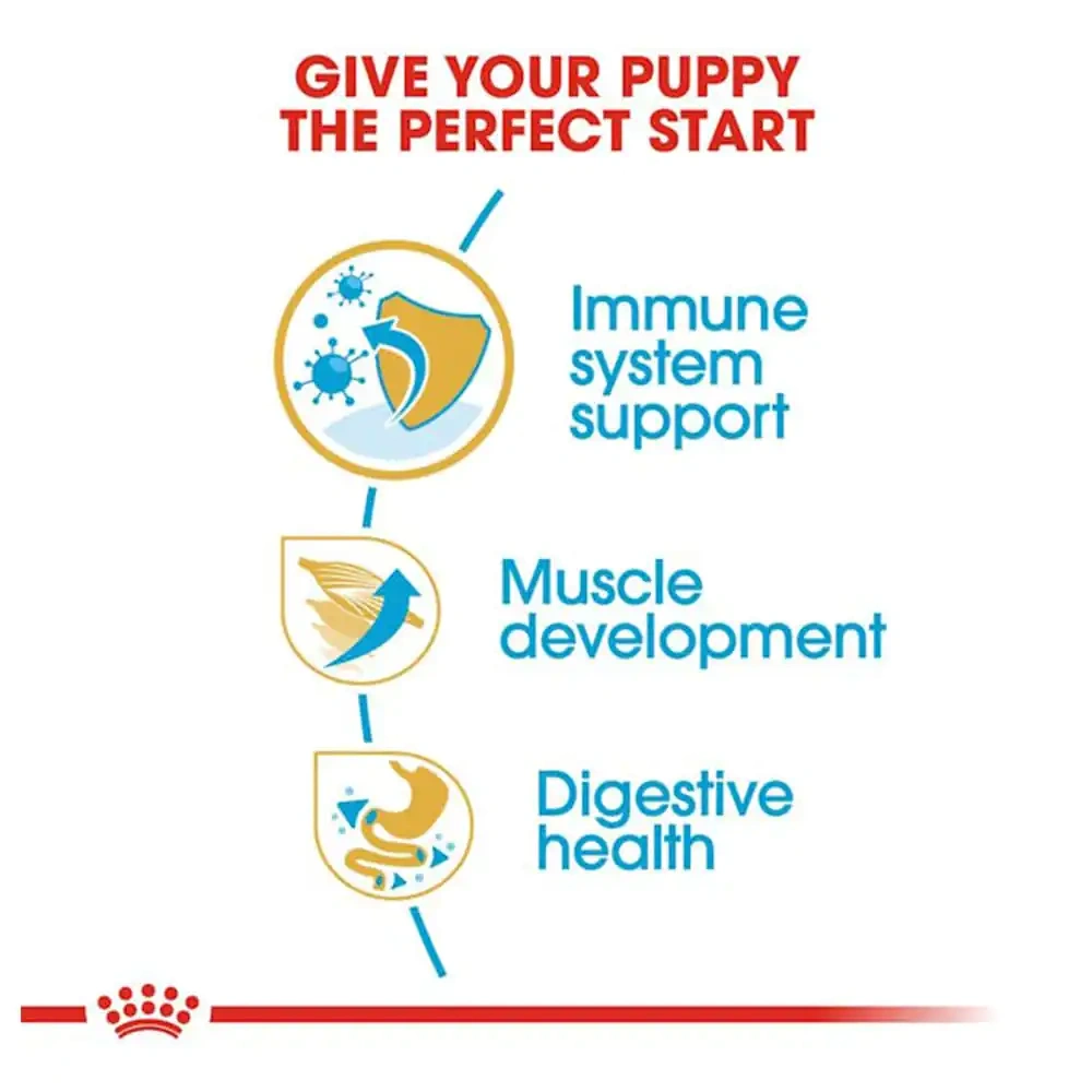 Royal Canin Boxer Puppy Dry Dog Food - Image 3