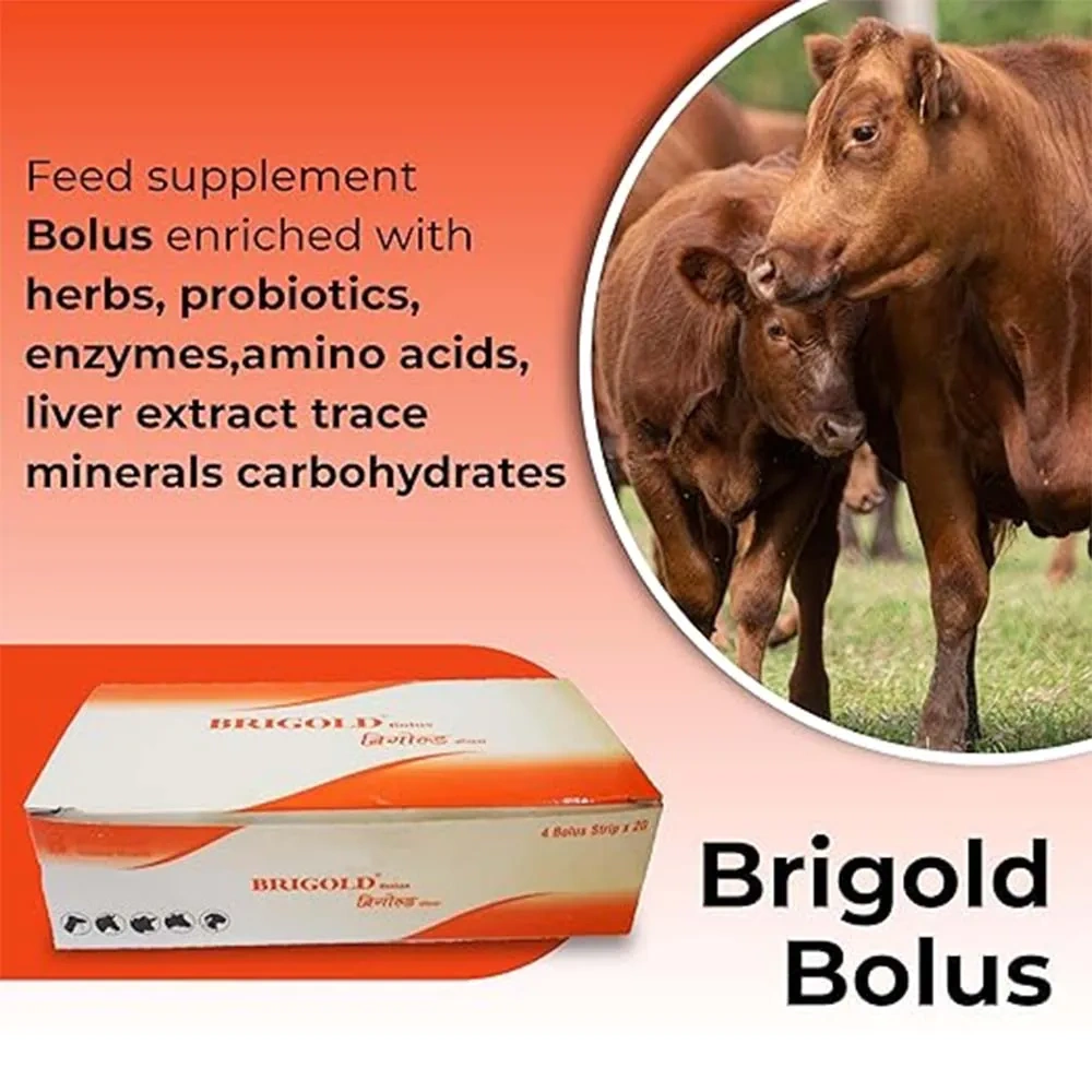 Brigold Bolus - Image 6