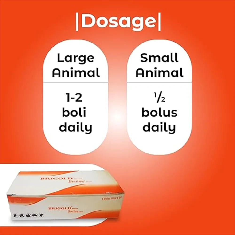 Brigold Bolus - Image 7