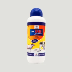 CPE 240 Advance