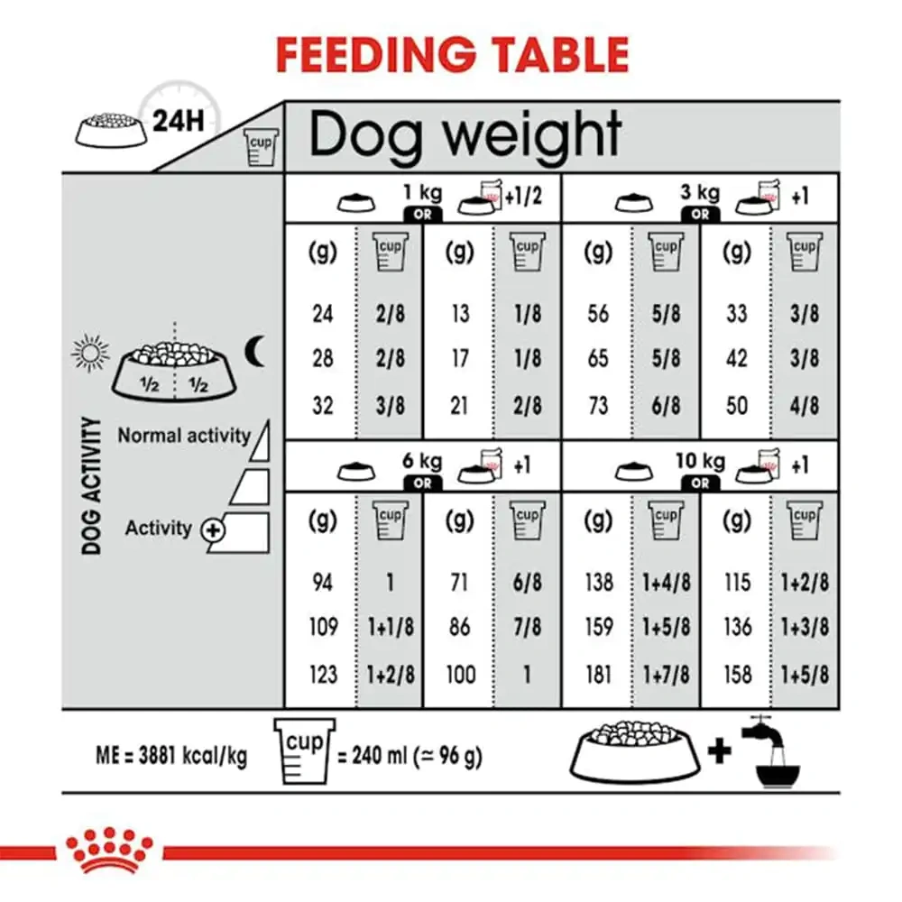 Royal Canin Mini Coat Care Dry Dog Food - Image 2