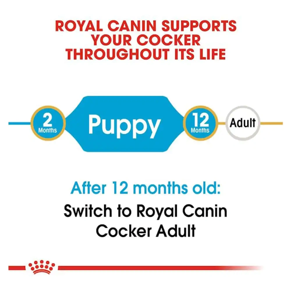 Royal Canin Cocker Puppy Dry Dog Food - Image 3