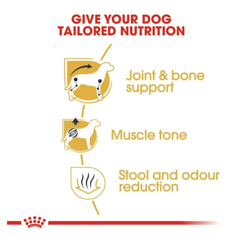 Royal Canin Dachshund Adult Wet Dog Food - Image 2
