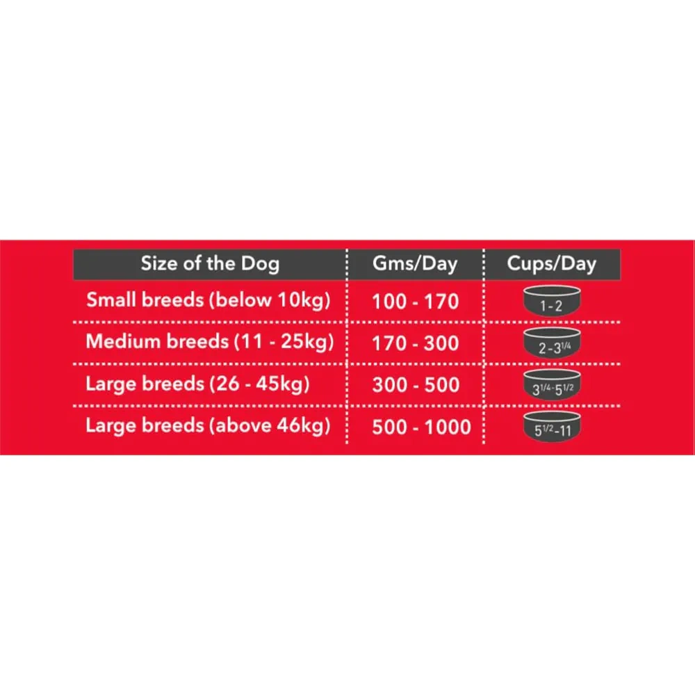 Drools Adult Dry Dog Food Chicken and Egg - Image 4