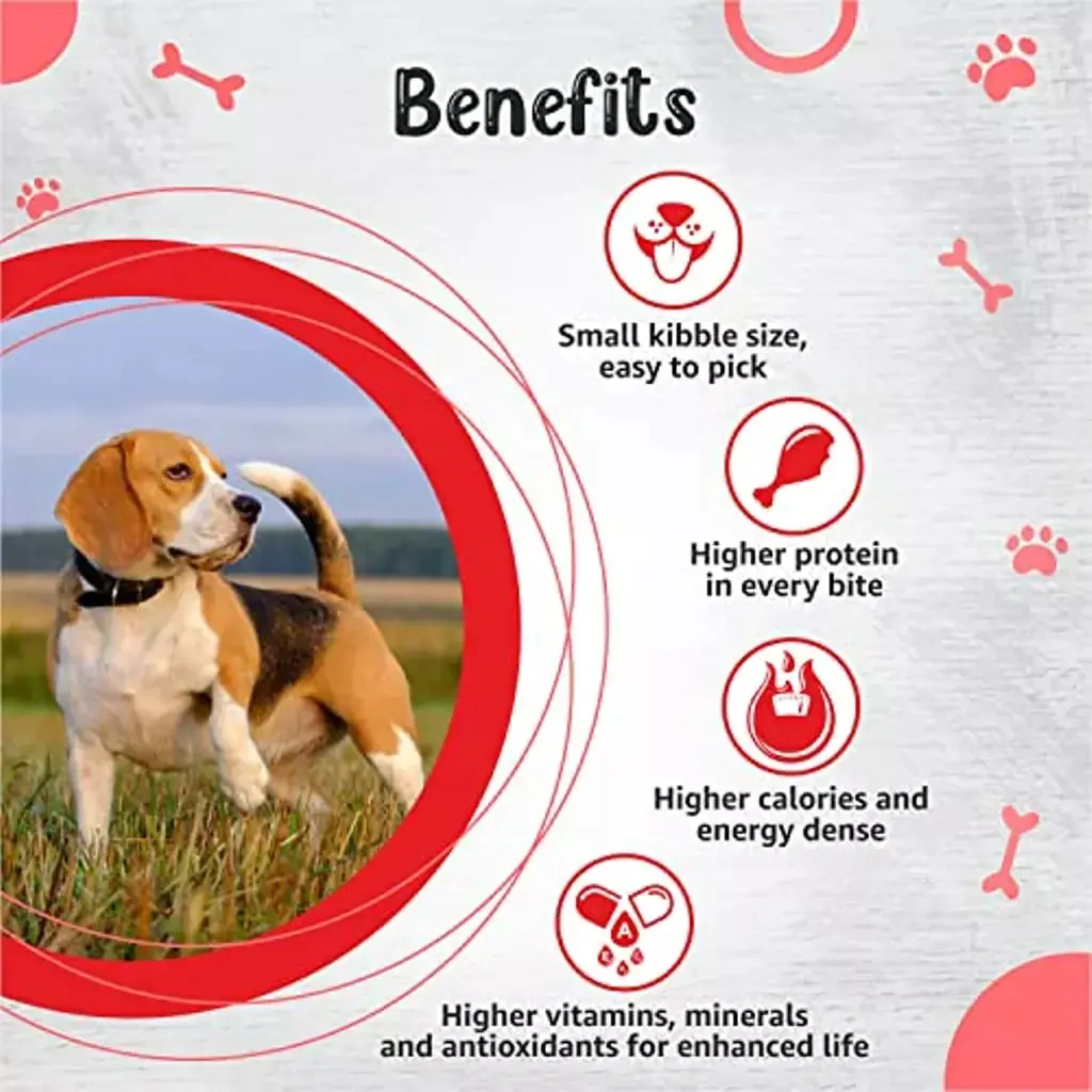 Drools Premium Small Breed Adult Dog Dry Food - Image 3