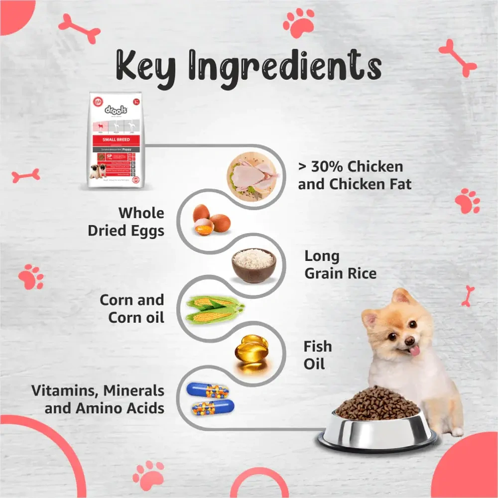 Drools Premium Small Breed Puppy Dog Dry Food - Image 3