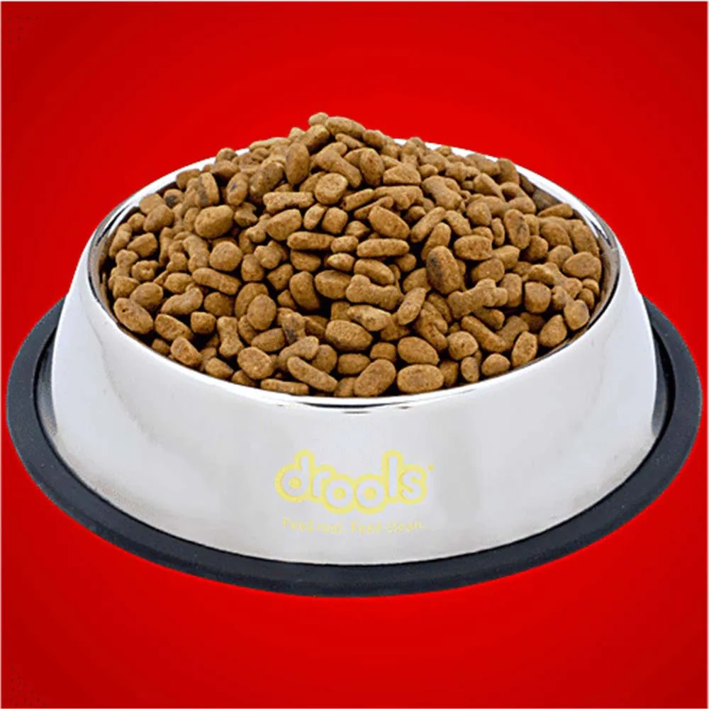 Cat Feeding Bowl - Image 4
