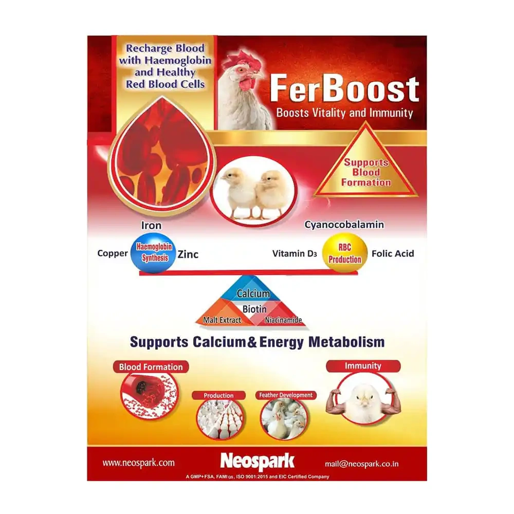 FerBoost - Image 3