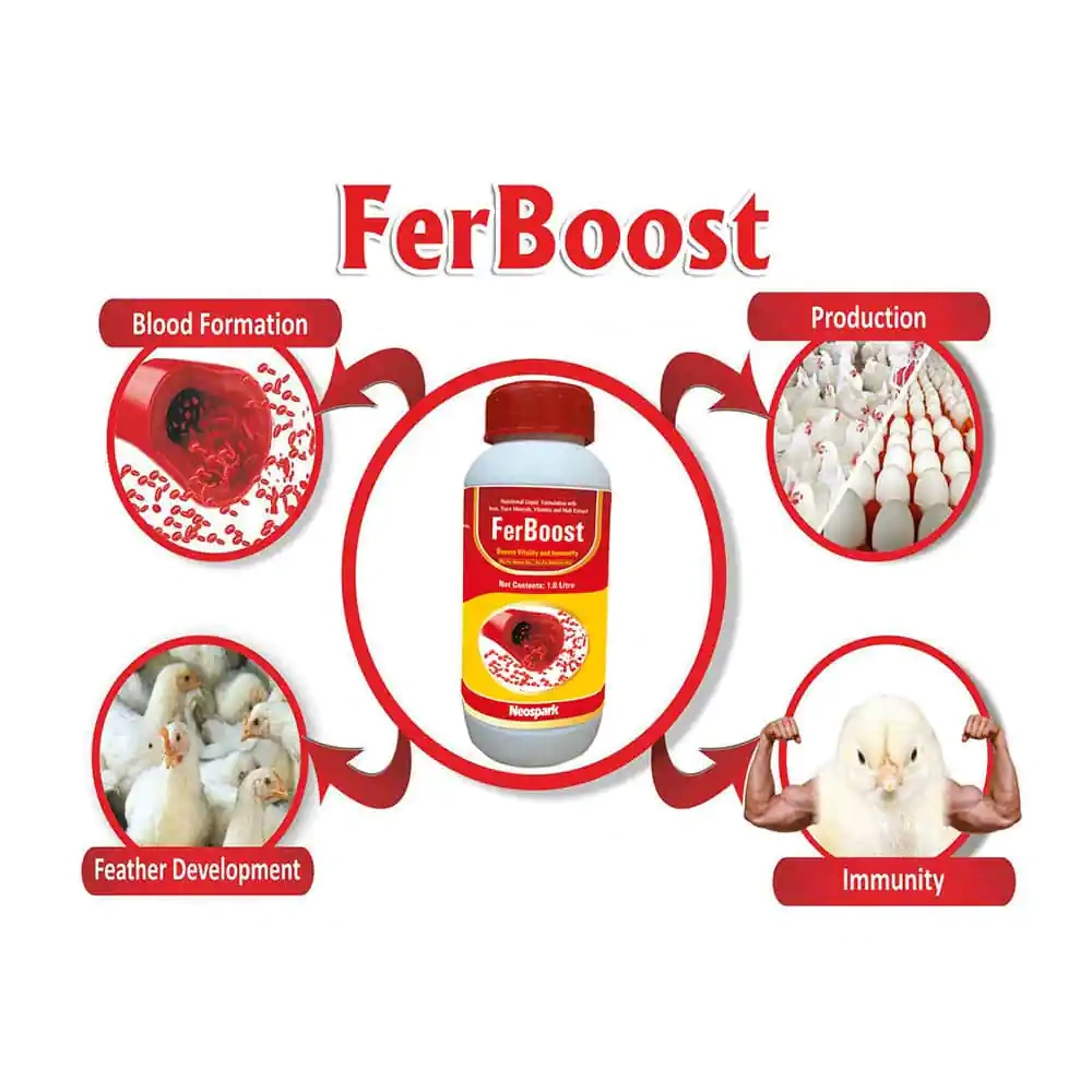 FerBoost - Image 4