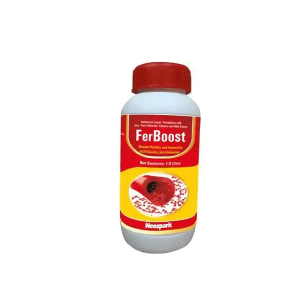 FerBoost