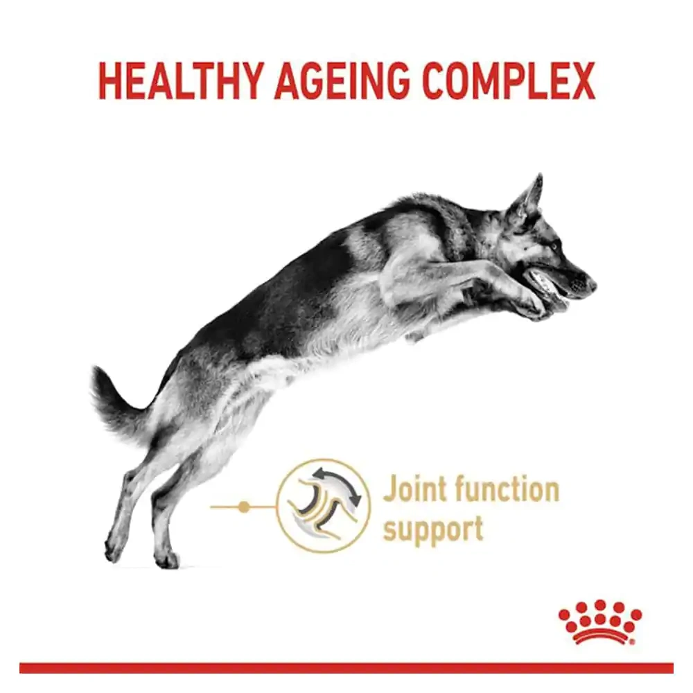 Royal Canin German Shepherd Adult 5+ Dry Dog Food - Image 4