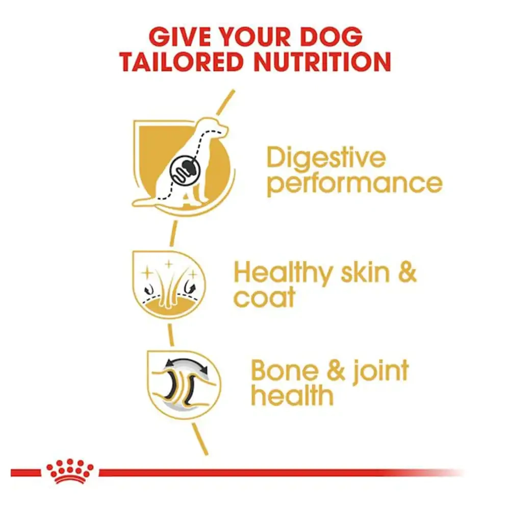 Royal Canin German Shepherd Adult Dry Dog Food - Image 3