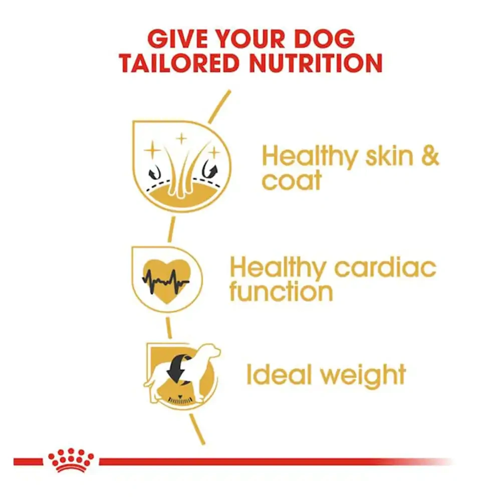 Royal Canin Golden Retriever Adult Dry Dog Food - Image 3