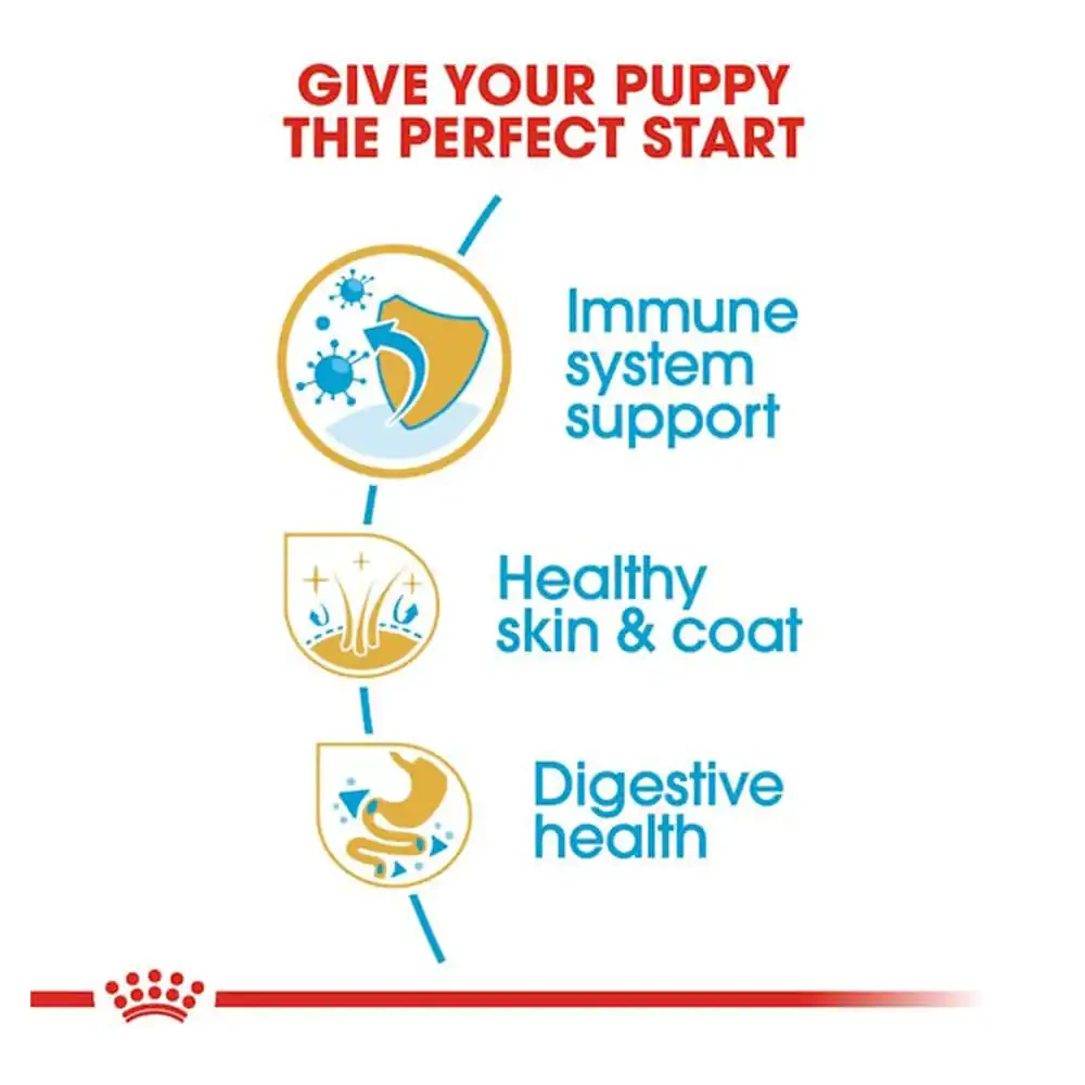 Royal Canin Golden Retriever Puppy Dry Dog Food - Image 2