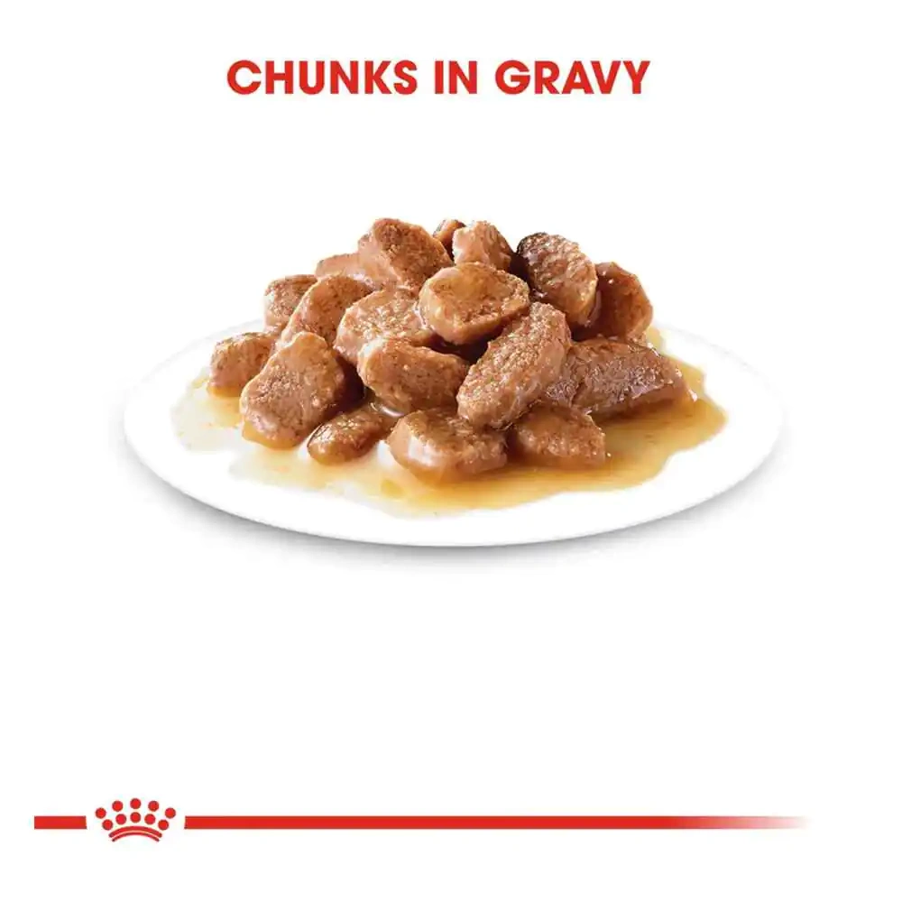 Hairball Gravy - Image 4