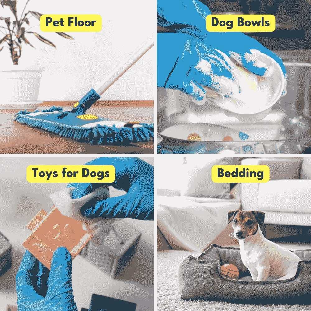 Kennel Hygiene - Image 3