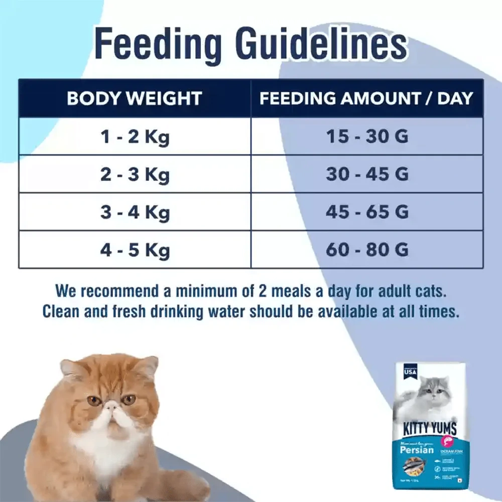 Kitty Yums Ocean Fish Persian Cat Dry Food - Image 3