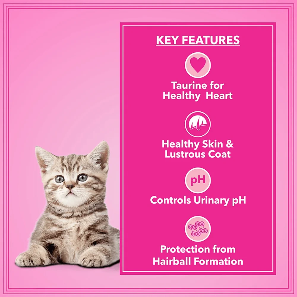 Let's Bite Active Kitten Dry Cat Food - Image 3