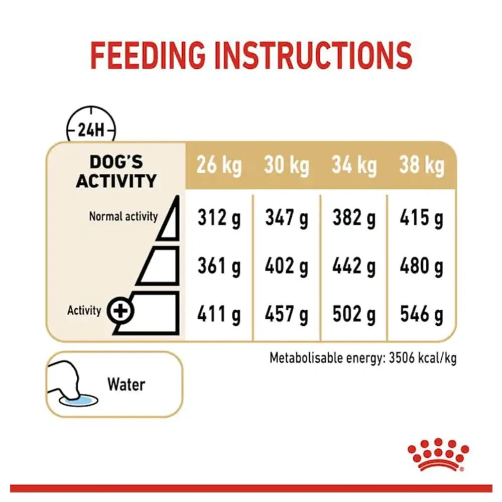 Royal Canin Labrador Adult 5+ Dog Dry Food - Image 2