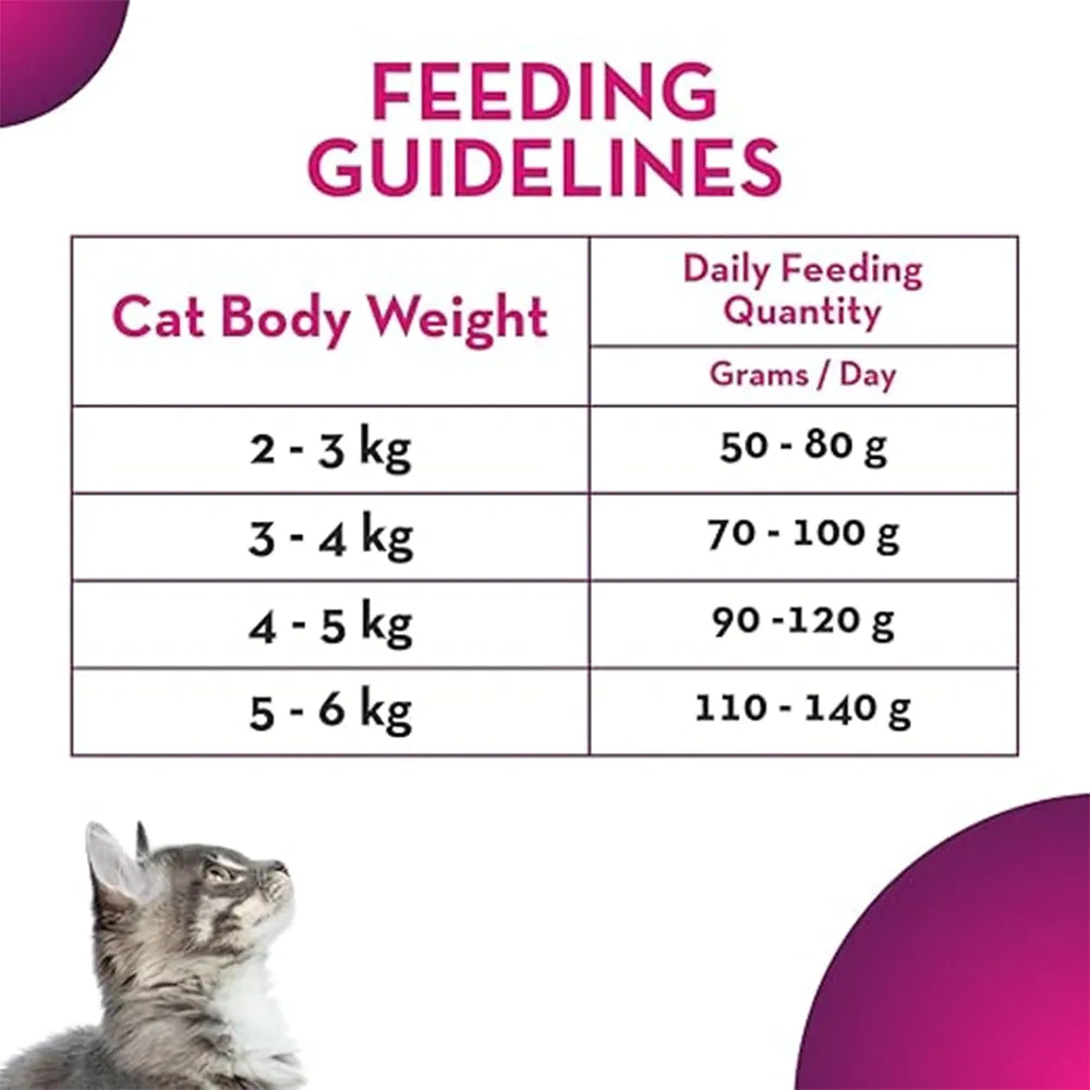 Maxi Ocean Fish Dry Cat Food - Image 2