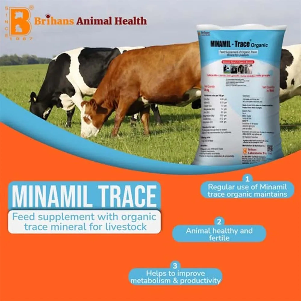 Minamil Trace - Image 2