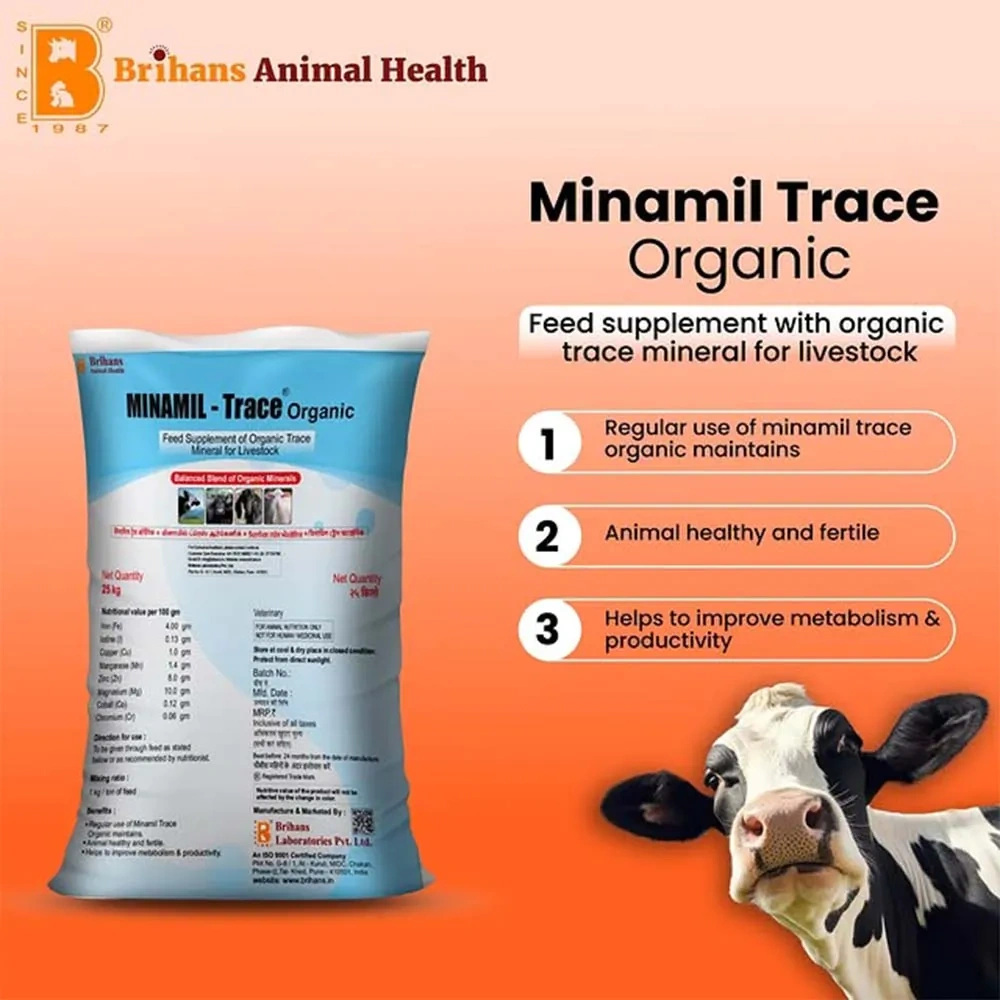 Minamil Trace - Image 3