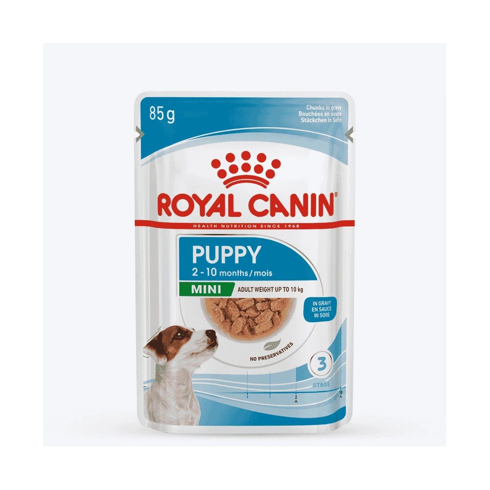 Mini Puppy (Gravy)