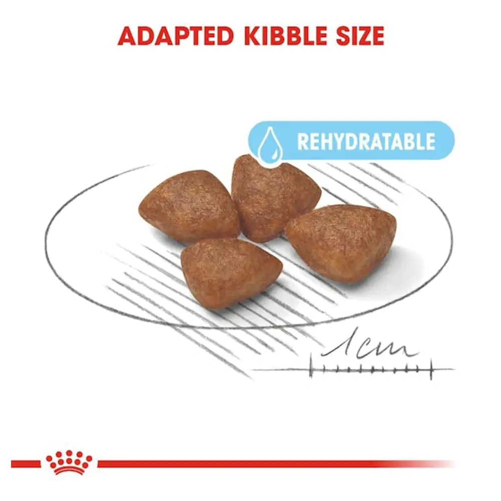 Royal Canin Mini Starter Dog Dry Food - Image 4