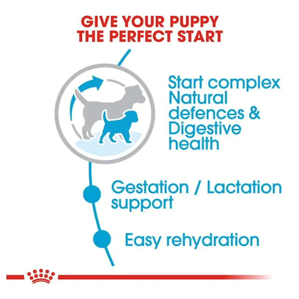 Royal Canin Mini Starter Dog Dry Food - Image 2