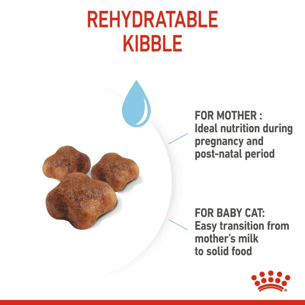 Royal Canin Mother & Baby Cat Dry Cat Food - Image 4