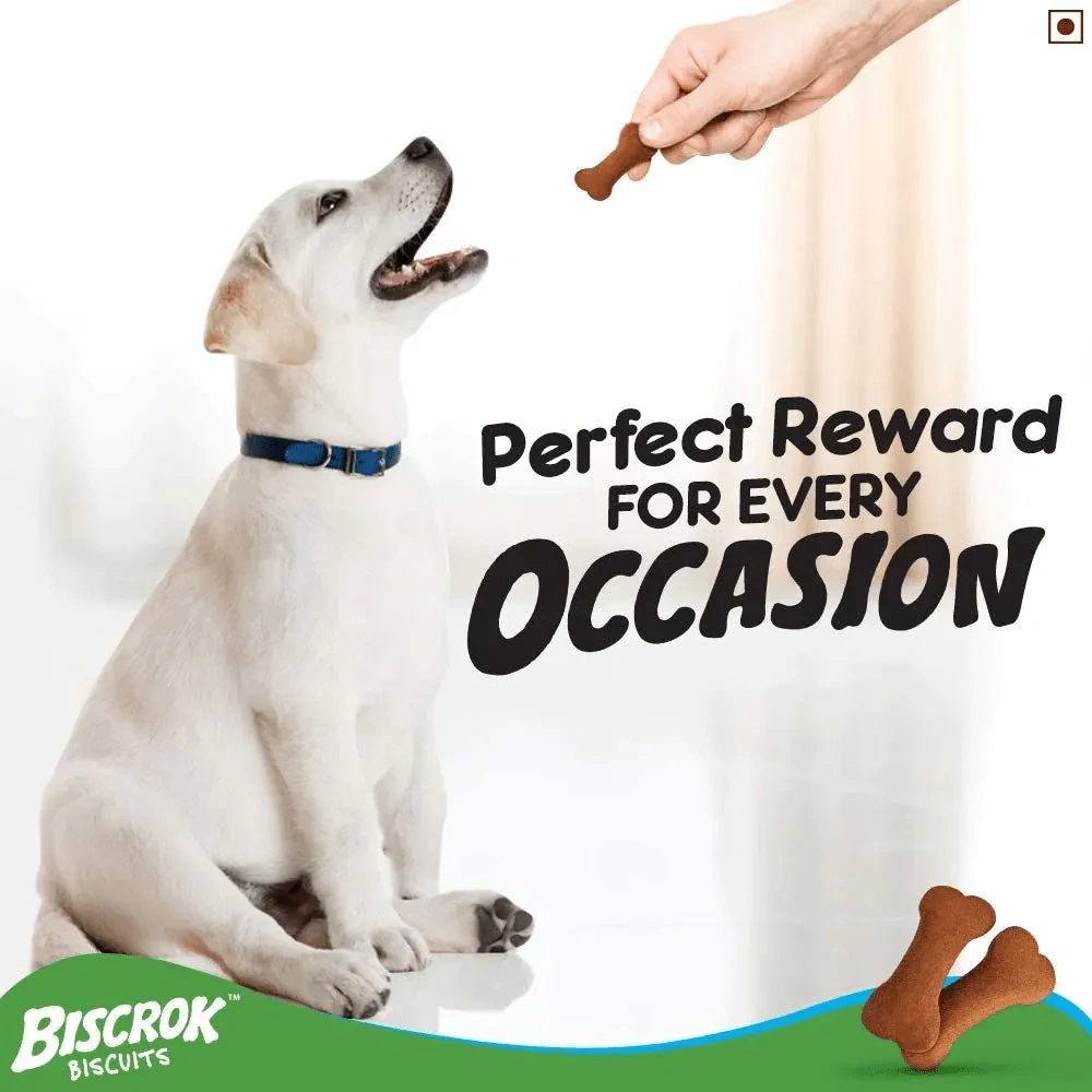 Pedigree Biscrok Chicken Flavour Dog Biscuits - Image 8