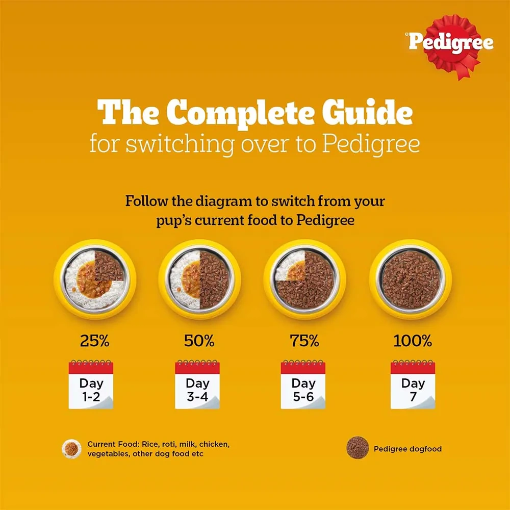Pedigree Chicken and Liver Chunks in Gravy Adult Dog Wet Food - Image 9
