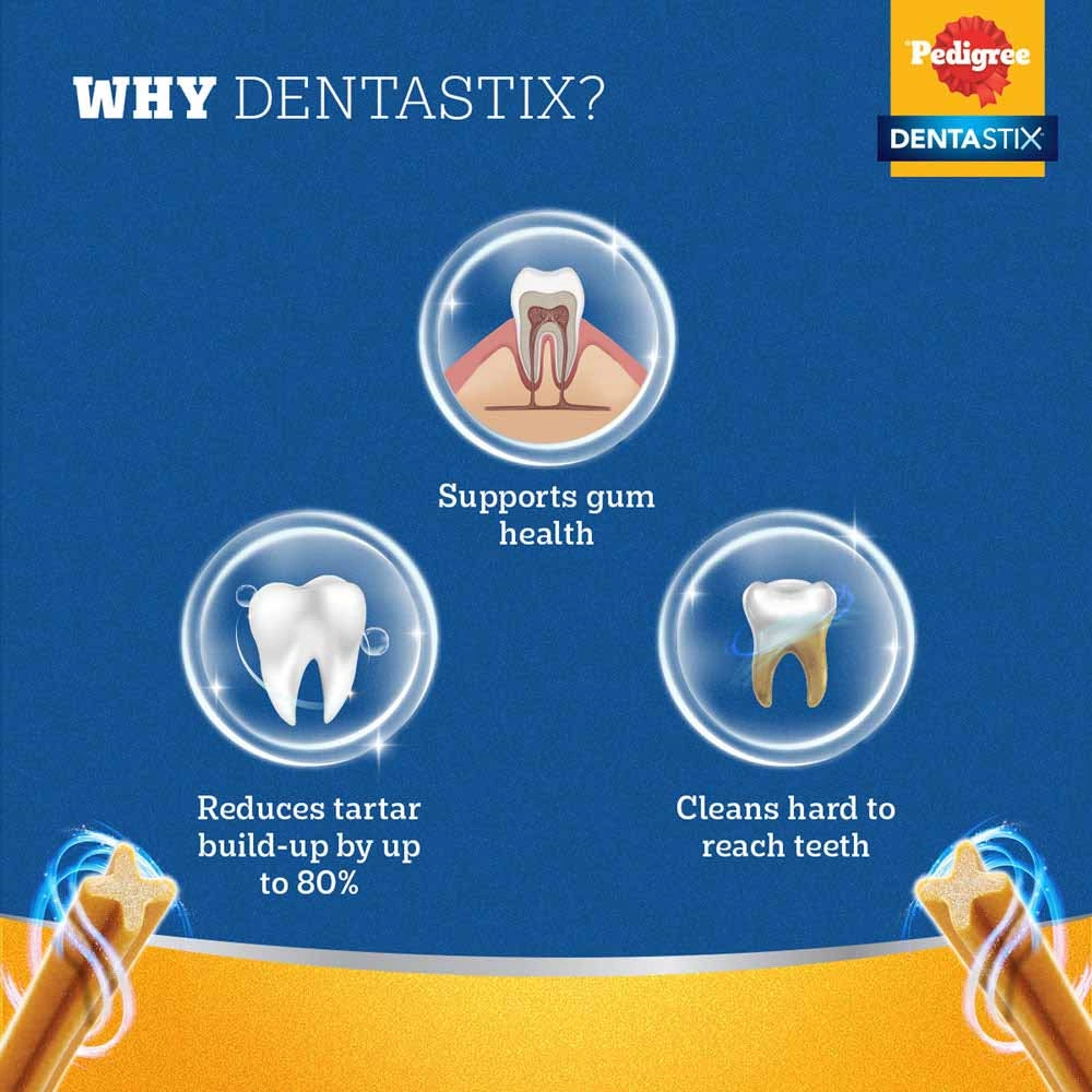 Pedigree Dentastix Oral Care Treats Large - Image 8
