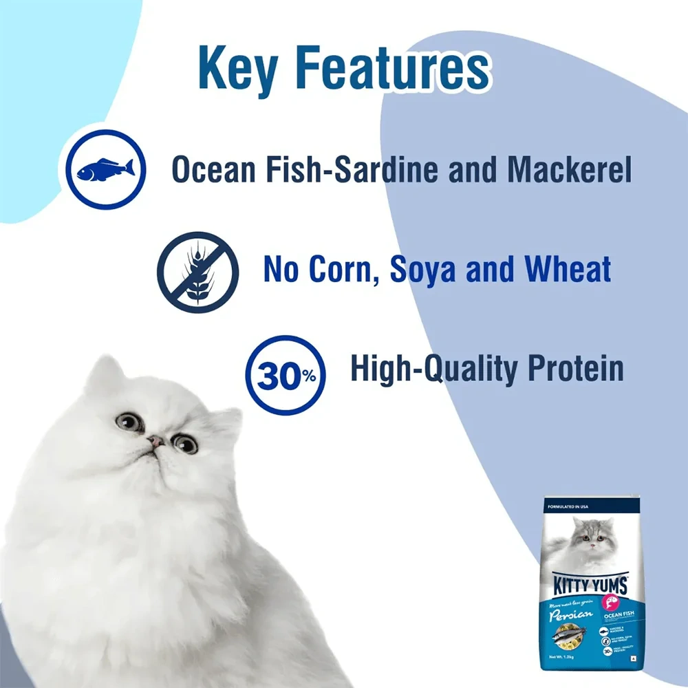 Kitty Yums Persian Adult Dry Cat Food, Ocean Fish, 1.2kg Pack - Image 3