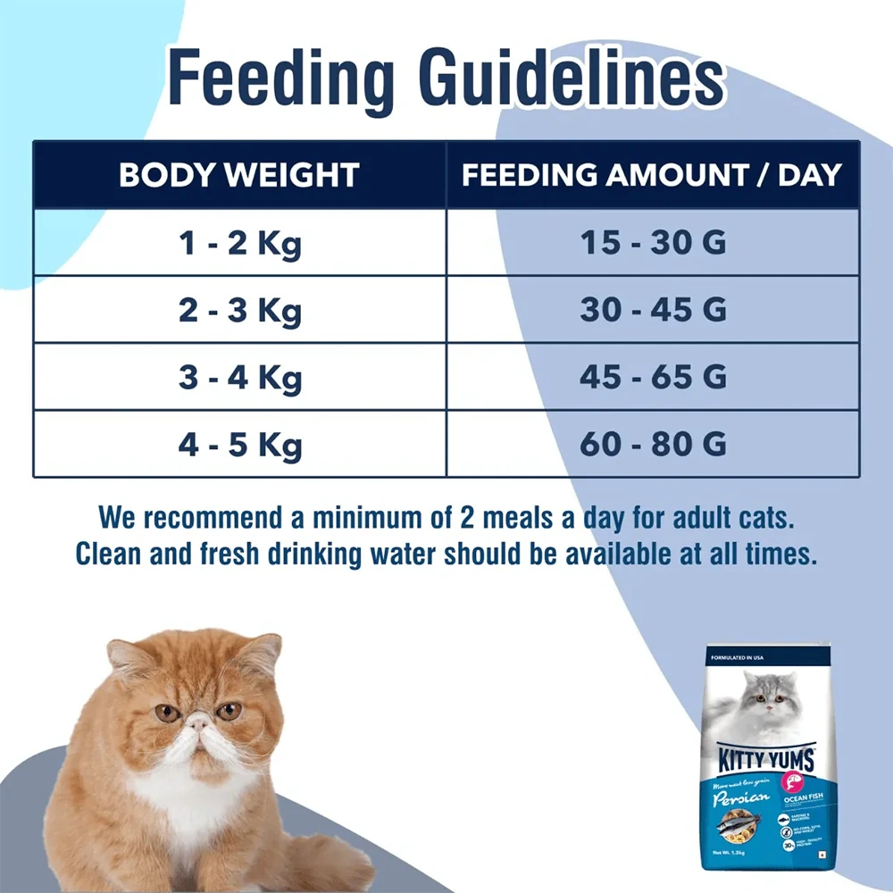 Kitty Yums Persian Adult Dry Cat Food, Ocean Fish, 1.2kg Pack - Image 4