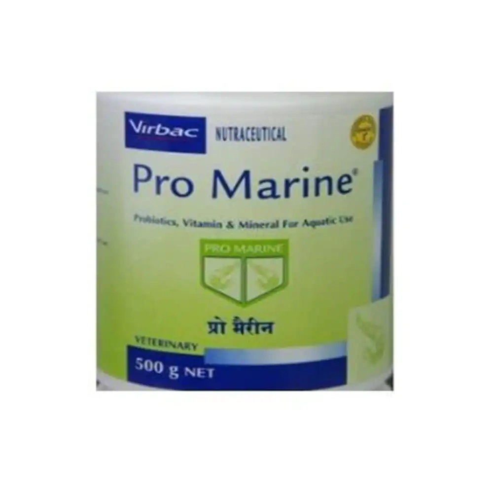 Pro Marine - Image 3