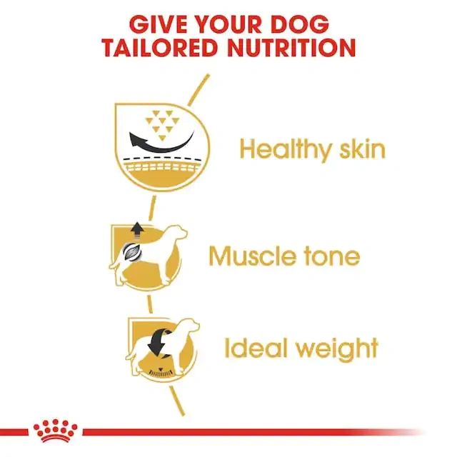 Royal Canin Pug Adult Dry Dog Food - Image 3