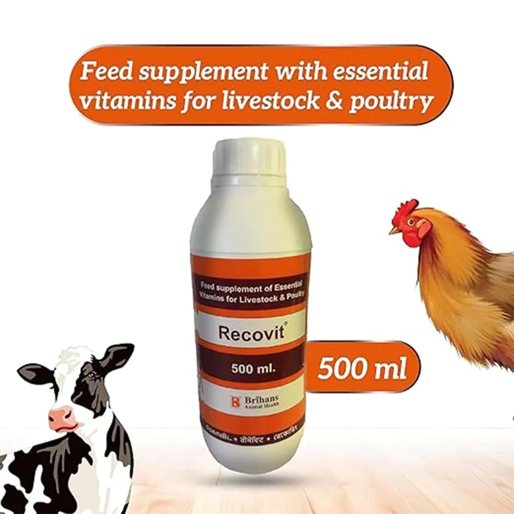 Recovit - Image 2