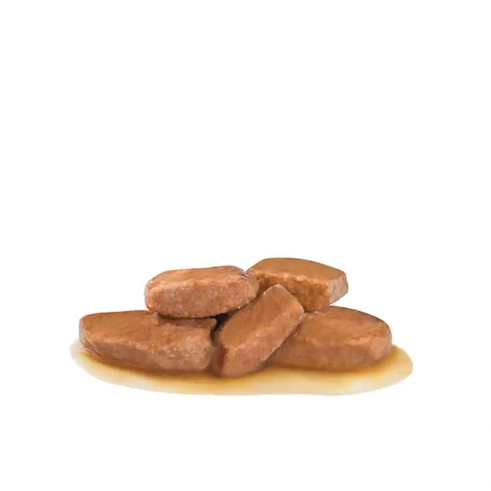 Royal Canin Canine Renal Pouch - Image 4