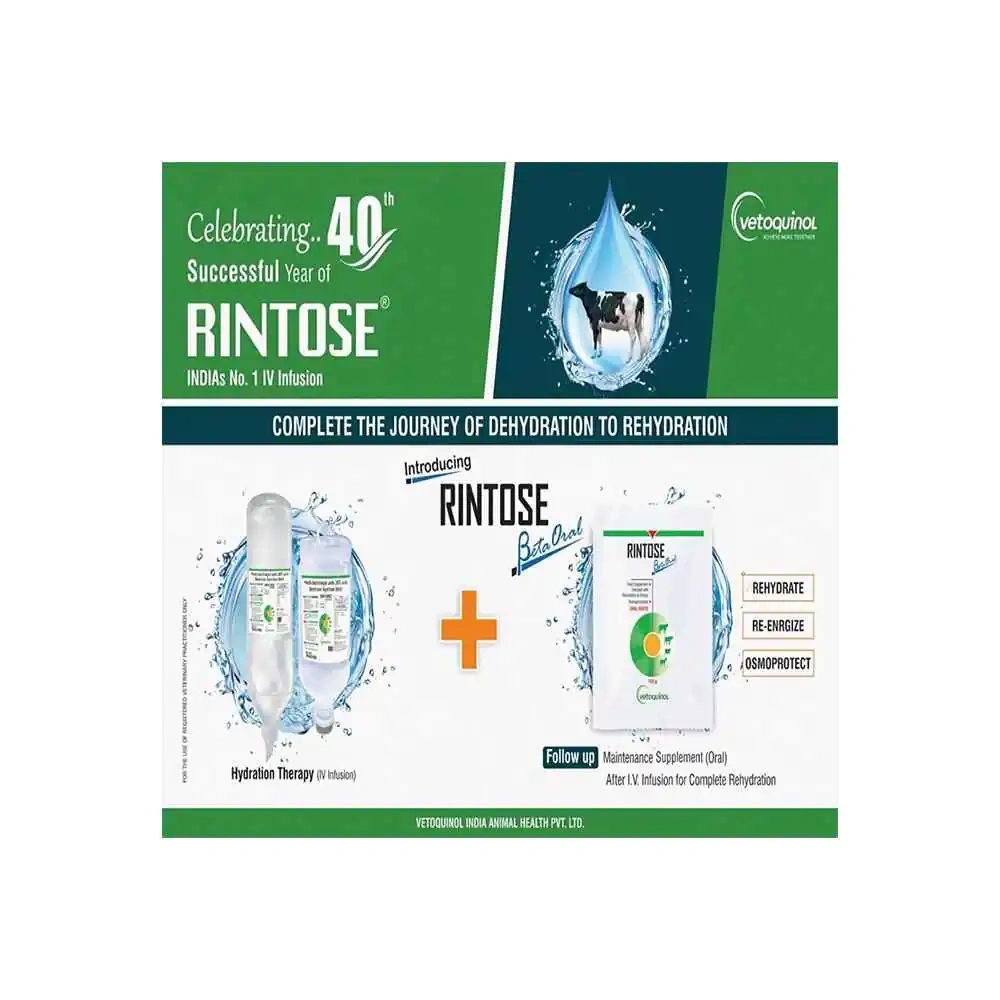 RINTOSE Beta - Image 3