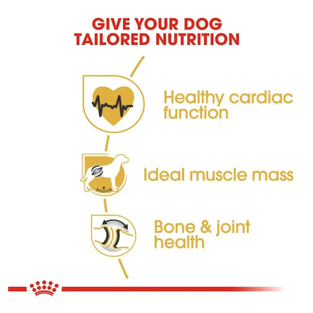 Royal Canin Rottweiler Adult Dry Dog Food - Image 2