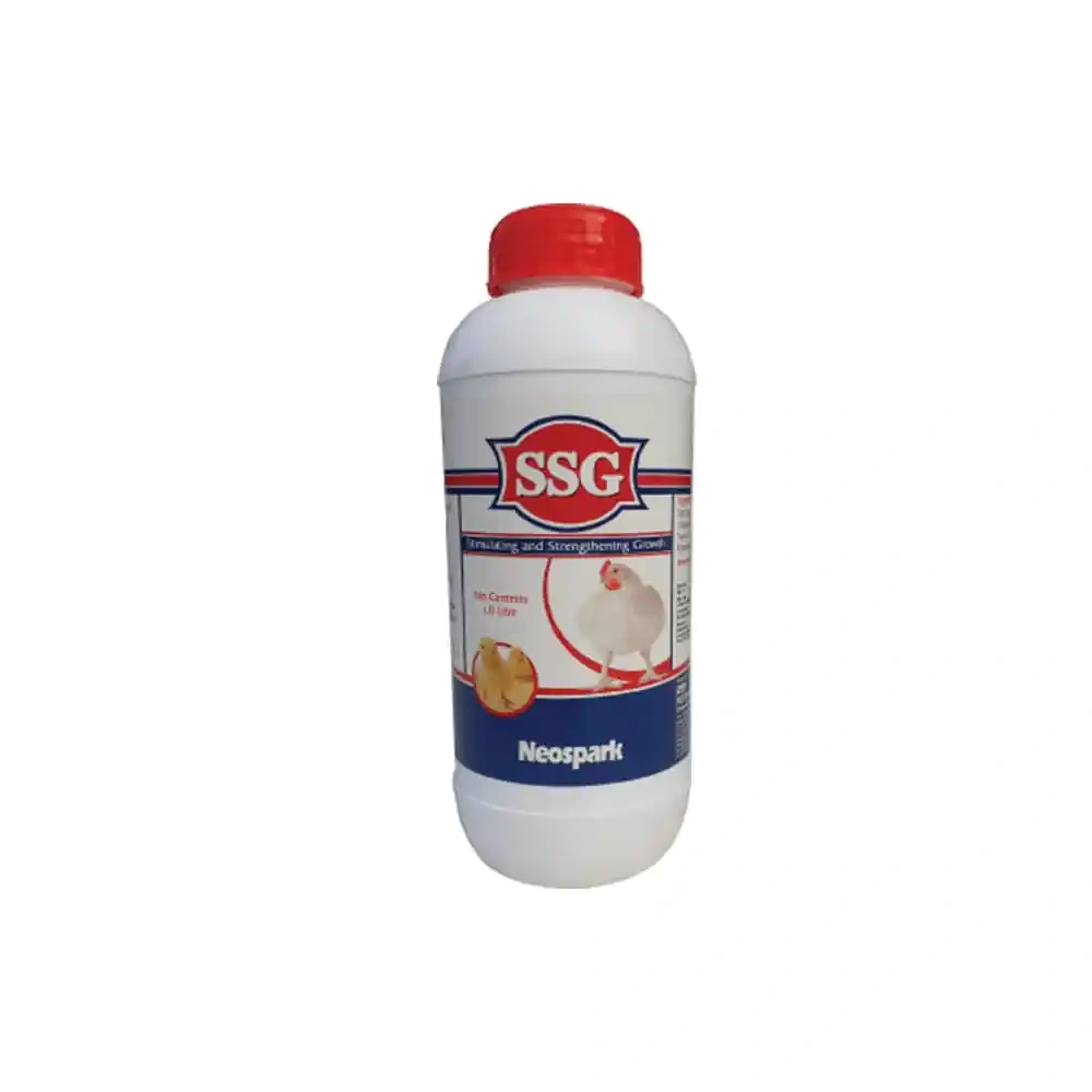 SSG - Image 2