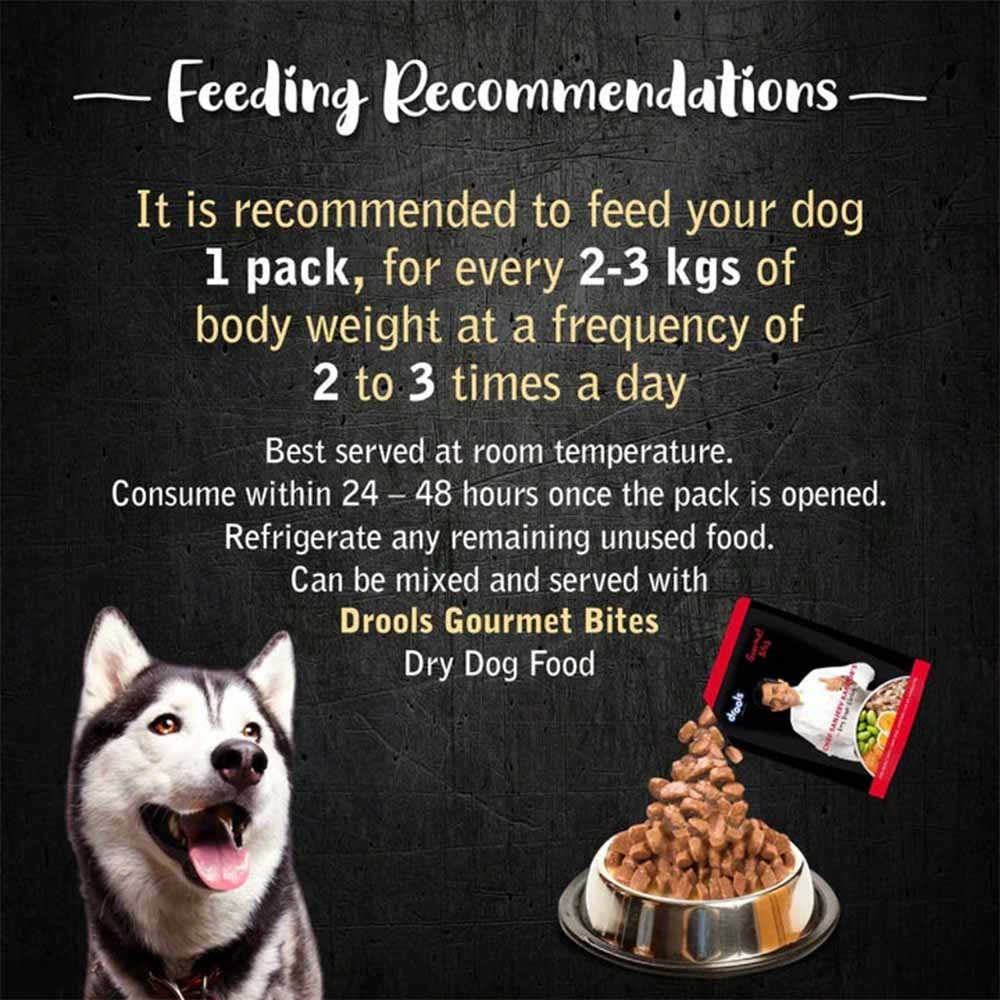 Drools Adult Sanjeev Special Gravy Dog Wet Food - Image 6