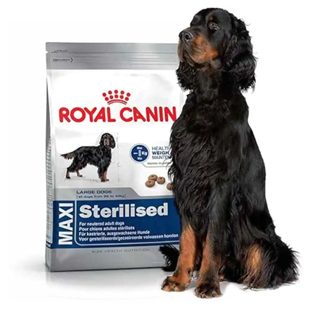 Royal Canin Maxi Sterilised Adult Care Dry Dog Food - Image 2